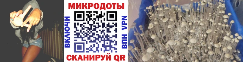 Псилоцибиновые грибы Magic Shrooms Зуевка